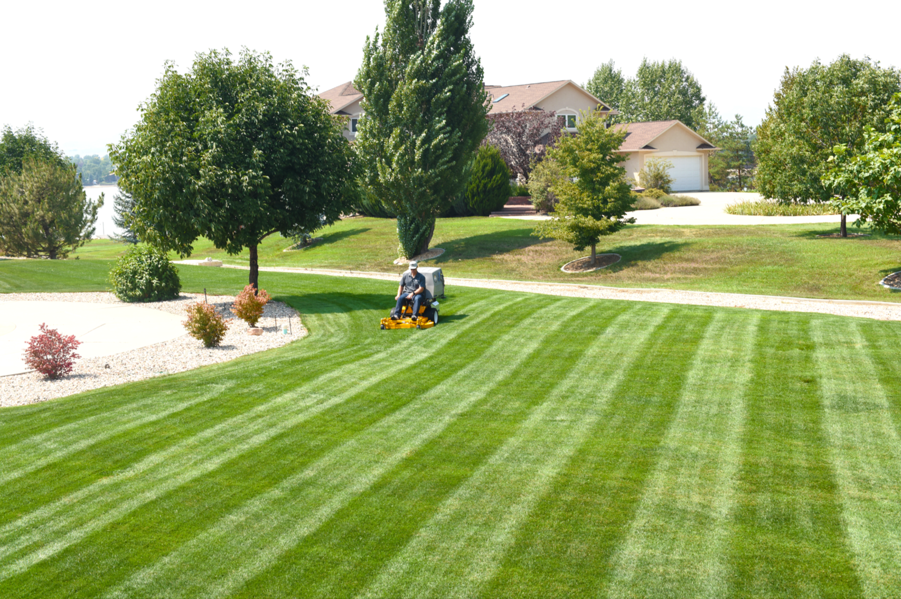 Lawn maintenance & mowing green grass