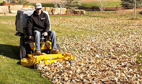 Lawn maintenance & mowing leaves for fall cleanup